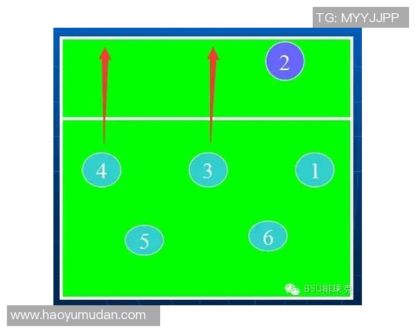 南京排球队反击体系的战术解析与实战应用探讨