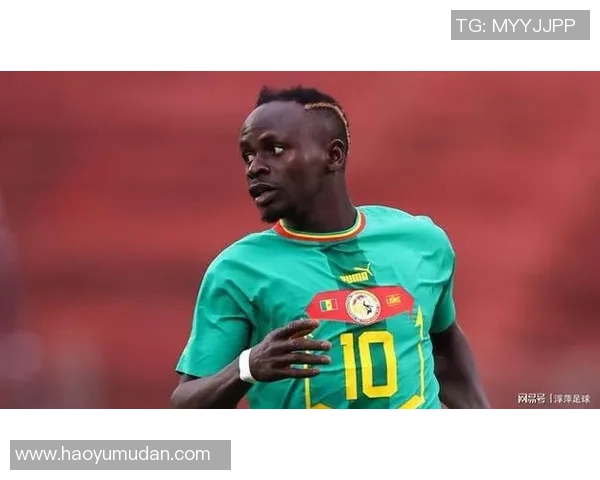 南非黑人足球明星的崛起与成就盘点及排名分析