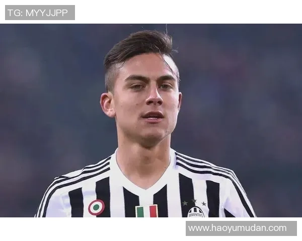 崇拜中国足球明星的魅力与影响力探索与球迷心中的偶像地位