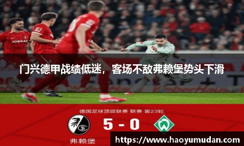 NG体育官网