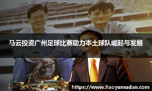 NG体育官网