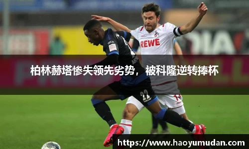 NG体育官网