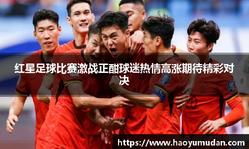红星足球比赛激战正酣球迷热情高涨期待精彩对决