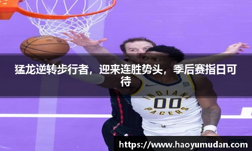 NG体育官网