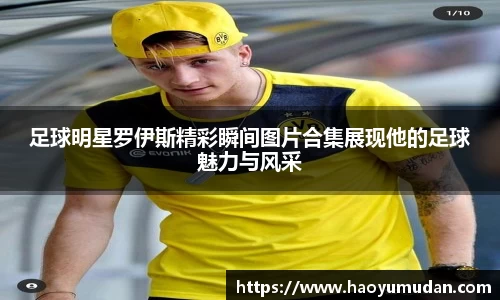 足球明星罗伊斯精彩瞬间图片合集展现他的足球魅力与风采