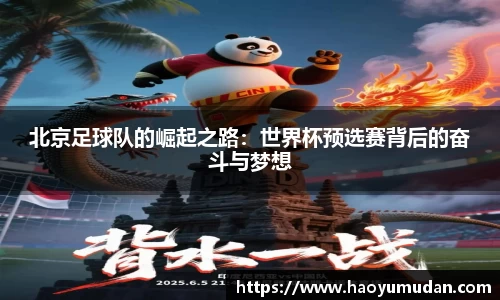 北京足球队的崛起之路:世界杯预选赛背后的奋斗与梦想