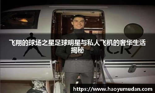 悟空·体育平台